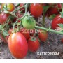 Семена томатов для вашей дачи и огорода