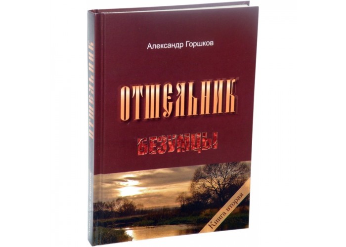 Отшельник. Книга вторая. Безумцы. Александр Горшков. Увлекательный сюжет