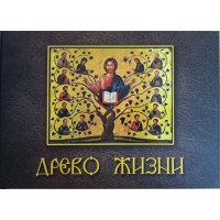 Древо жизни. Книга-альбом