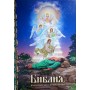 Библия, изложенная для семейного чтения. Для детей среднего и старшего школьного возраста